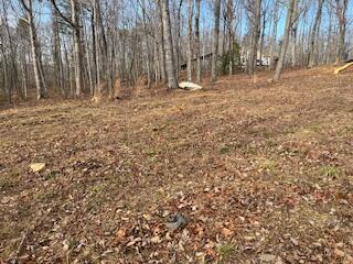 214 Gray Creek Road Graysville, TN 37338 - Photo 21 of 64 IMG_3624