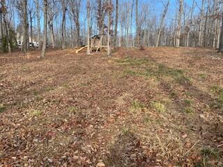 214 Gray Creek Road Graysville, TN 37338 - Photo 22 of 64 IMG_3625