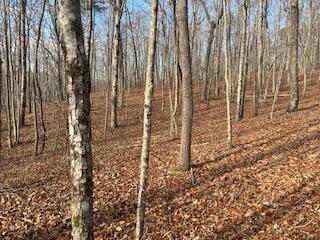 214 Gray Creek Road Graysville, TN 37338 - Photo 25 of 64 IMG_3628 (1)