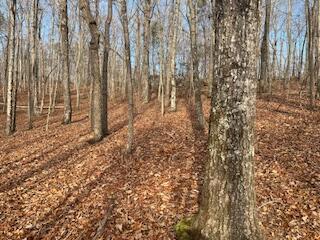 214 Gray Creek Road Graysville, TN 37338 - Photo 26 of 64 IMG_3629