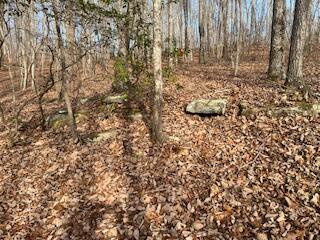 214 Gray Creek Road Graysville, TN 37338 - Photo 28 of 64 IMG_3631