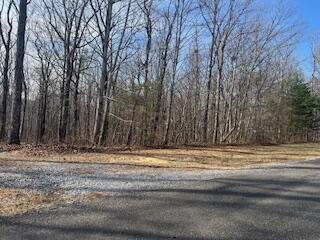 214 Gray Creek Road Graysville, TN 37338 - Photo 3 of 64 IMG_3605