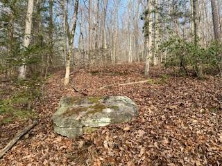 214 Gray Creek Road Graysville, TN 37338 - Photo 31 of 64 IMG_3634