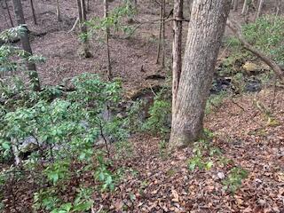 214 Gray Creek Road Graysville, TN 37338 - Photo 32 of 64 IMG_3635