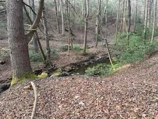 $255,000 | 214 Gray Creek Road, Graysville, TN 37338