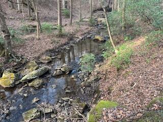 214 Gray Creek Road Graysville, TN 37338 - Photo 35 of 64 IMG_3638