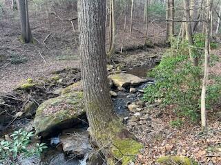 214 Gray Creek Road Graysville, TN 37338 - Photo 37 of 64 IMG_3641