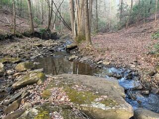 214 Gray Creek Road Graysville, TN 37338 - Photo 38 of 64 IMG_3642