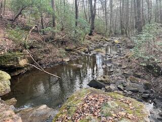 214 Gray Creek Road Graysville, TN 37338 - Photo 39 of 64 IMG_3643