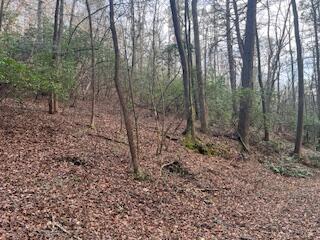 214 Gray Creek Road Graysville, TN 37338 - Photo 43 of 64 IMG_3647