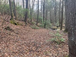 214 Gray Creek Road Graysville, TN 37338 - Photo 44 of 64 IMG_3648