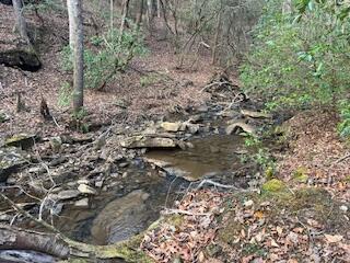 214 Gray Creek Road Graysville, TN 37338 - Photo 45 of 64 IMG_3649