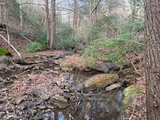 214 Gray Creek Road Graysville, TN 37338 - Photo 47 of 64 IMG_3651