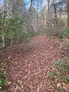 214 Gray Creek Road Graysville, TN 37338 - Photo 48 of 64 IMG_3652