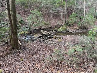 214 Gray Creek Road Graysville, TN 37338 - Photo 51 of 64 IMG_3656