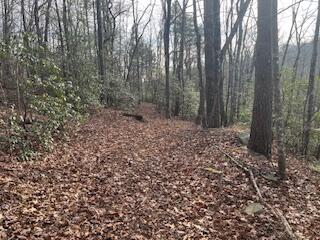 214 Gray Creek Road Graysville, TN 37338 - Photo 53 of 64 IMG_3658