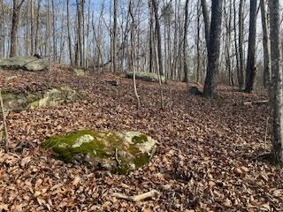 214 Gray Creek Road Graysville, TN 37338 - Photo 55 of 64 IMG_3660