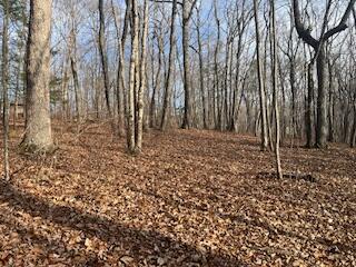 214 Gray Creek Road Graysville, TN 37338 - Photo 56 of 64 IMG_3661