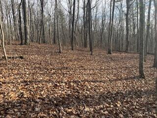 214 Gray Creek Road Graysville, TN 37338 - Photo 57 of 64 IMG_3662