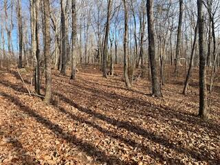 214 Gray Creek Road Graysville, TN 37338 - Photo 58 of 64 IMG_3663