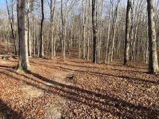 $255,000 | 214 Gray Creek Road, Graysville, TN 37338