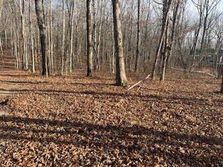 214 Gray Creek Road Graysville, TN 37338 - Photo 60 of 64 IMG_3665