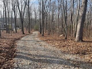 214 Gray Creek Road Graysville, TN 37338 - Photo 6 of 64 IMG_3608