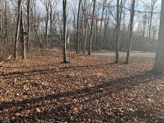 214 Gray Creek Road Graysville, TN 37338 - Photo 61 of 64 IMG_3666