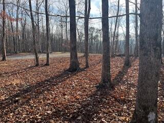 214 Gray Creek Road Graysville, TN 37338 - Photo 62 of 64 IMG_3667