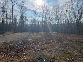 214 Gray Creek Road Graysville, TN 37338 - Photo 64 of 64 IMG_3669