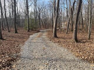 214 Gray Creek Road Graysville, TN 37338 - Photo 7 of 64 IMG_3609