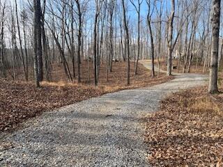 214 Gray Creek Road Graysville, TN 37338 - Photo 8 of 64 IMG_3610