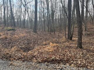 214 Gray Creek Road Graysville, TN 37338 - Photo 9 of 64 IMG_3611