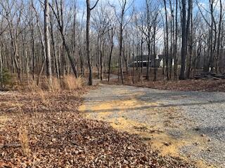 214 Gray Creek Road Graysville, TN 37338 - Photo 10 of 64 IMG_3612