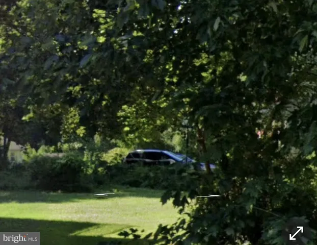 a view of a garden with large trees