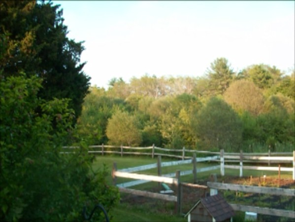 59 Squirrel Island Road Wareham, MA 02576 - Photo 2 of 4 a view of lake with green space