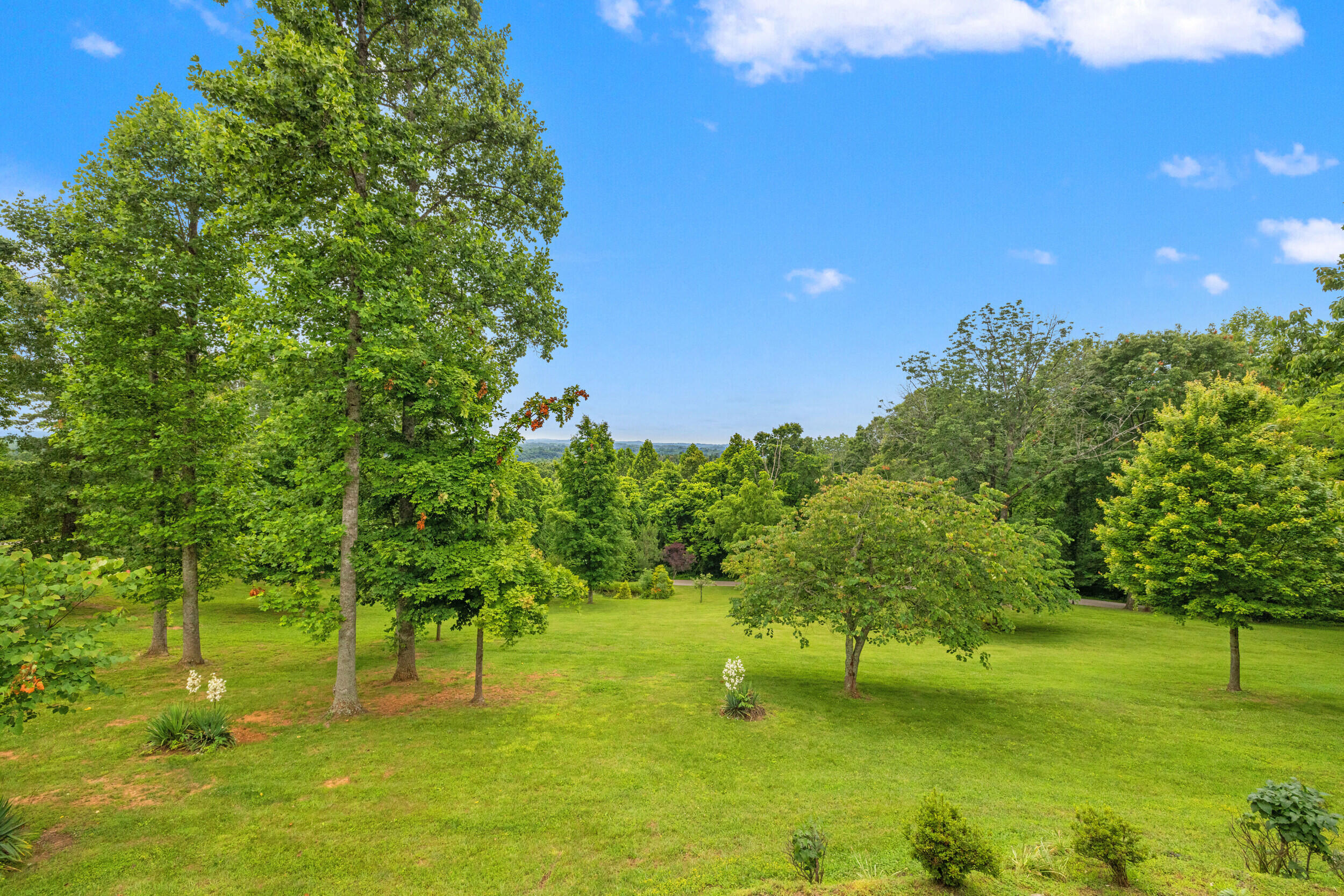 1564 High Ridge Road Middleburg, KY 42541 - Photo 68 of 79 52_1h4a4714