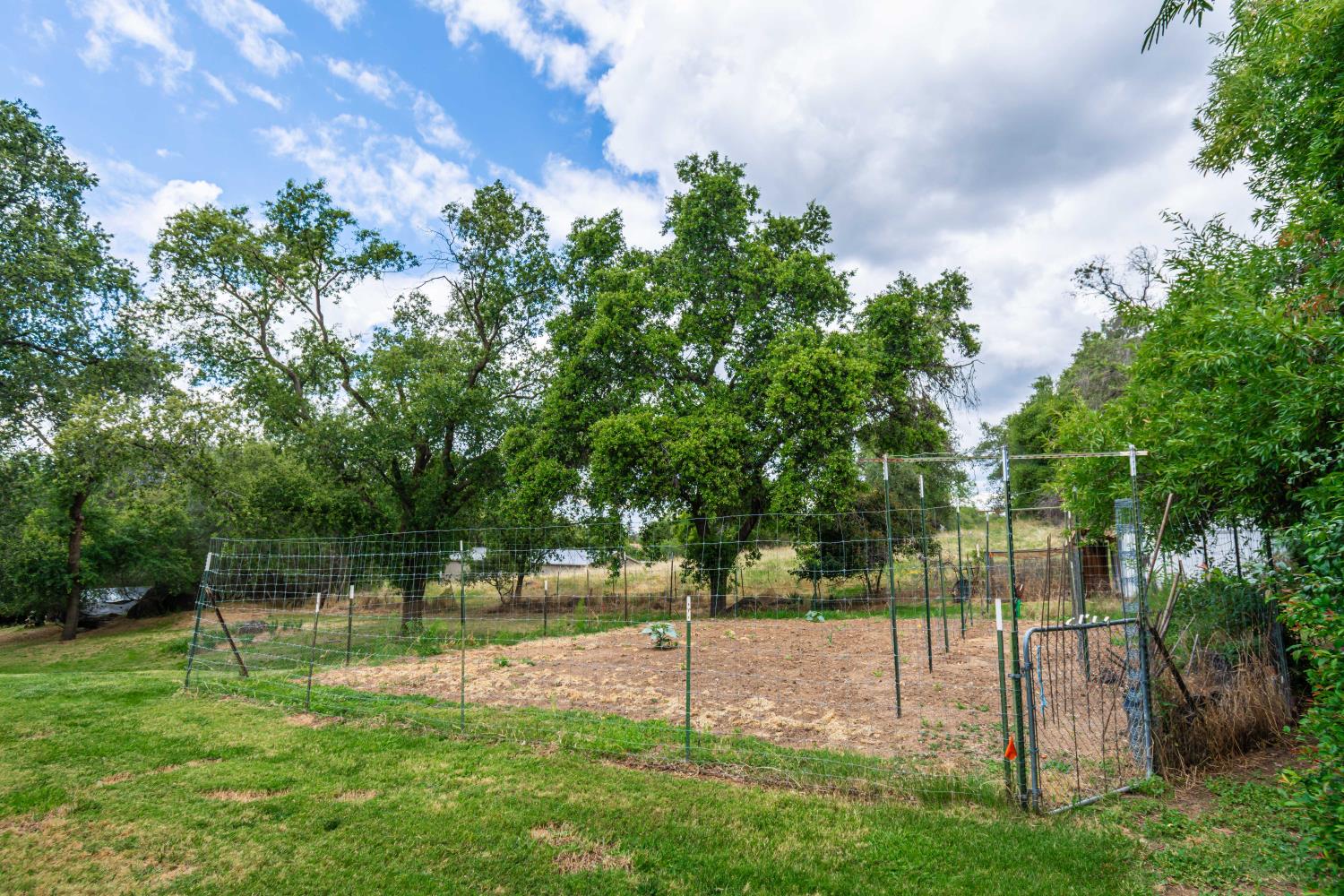7921 Rasmussen Road Loomis, CA 95650 - Photo 38 of 59