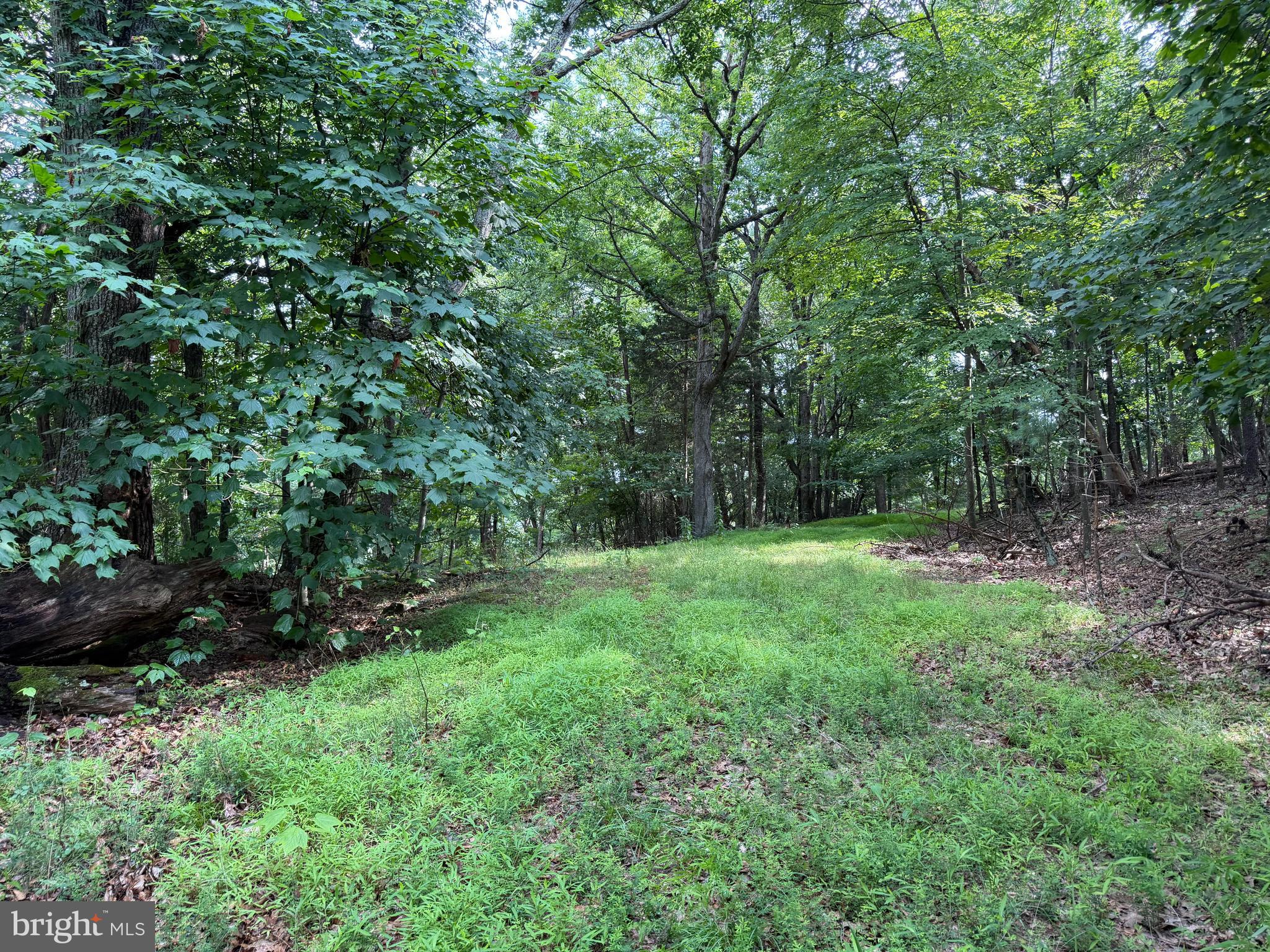 584 Berry Mountain Lane Mathias, WV 26812 - Photo 9 of 17