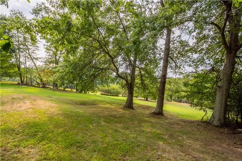 a view of field with trees