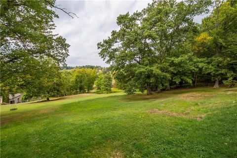 a view of a field with a tree
