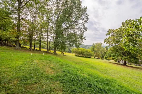 a view of outdoor space with trees all around