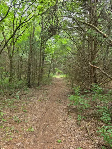 $1,300,000 | Tbd Folsom Street, Taylors Falls, MN 55084