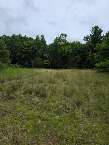 $1,300,000 | Tbd Folsom Street, Taylors Falls, MN 55084