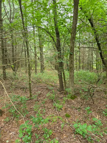 $1,300,000 | Tbd Folsom Street, Taylors Falls, MN 55084