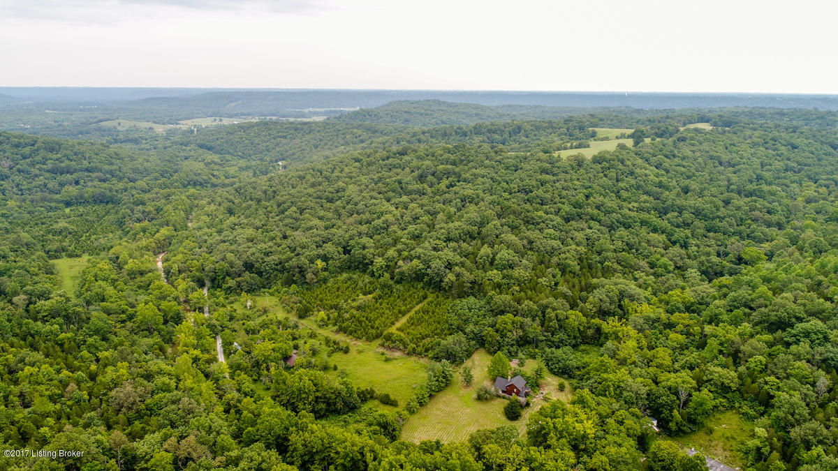 1898 Bolin Branch Road Lockport, KY 40036 - Photo 2 of 48 Aerial Still images (11 of 13)