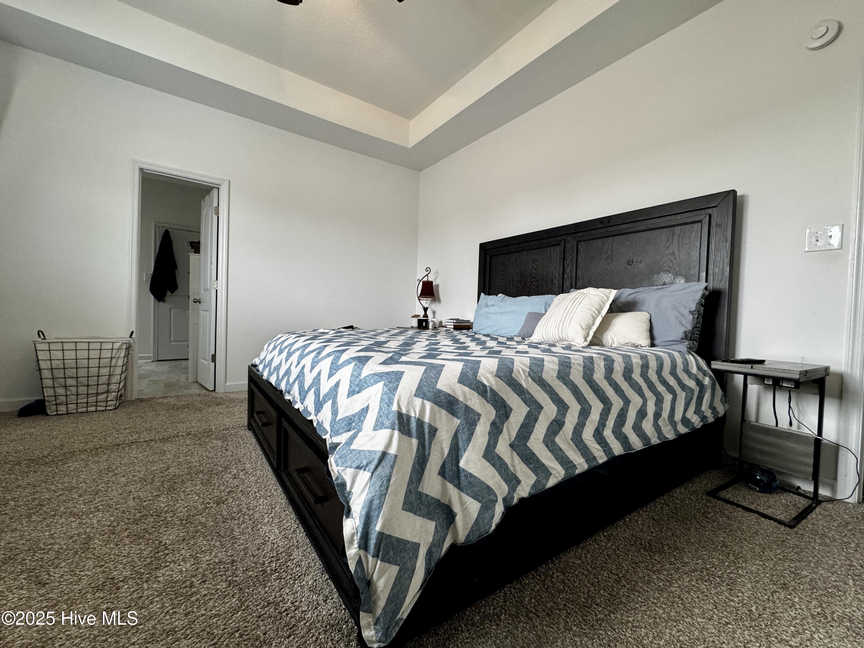 407 Cattle Ranch Lane Jacksonville, NC 28546 - Photo 7 of 12 Master Bedc