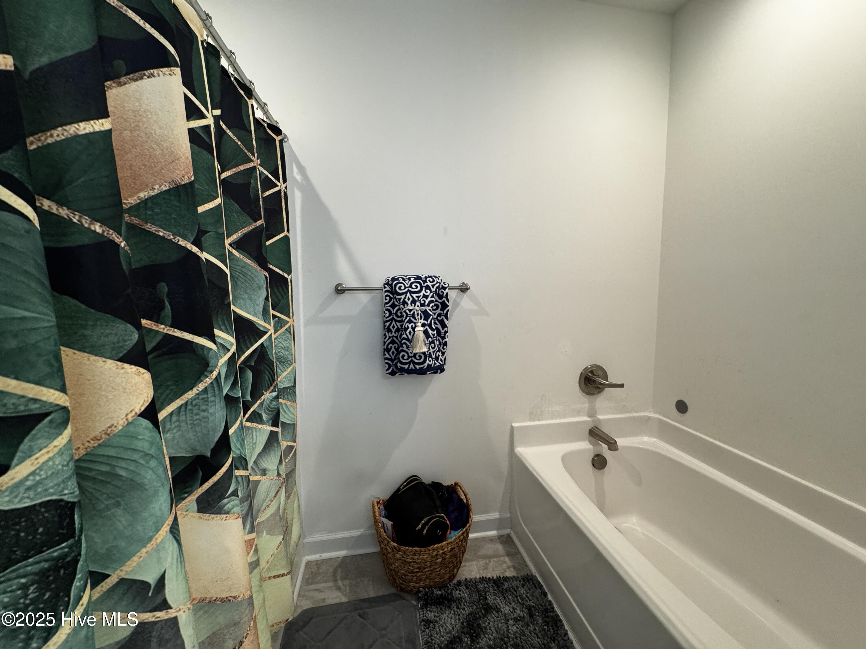 407 Cattle Ranch Lane Jacksonville, NC 28546 - Photo 8 of 12 Master Bath