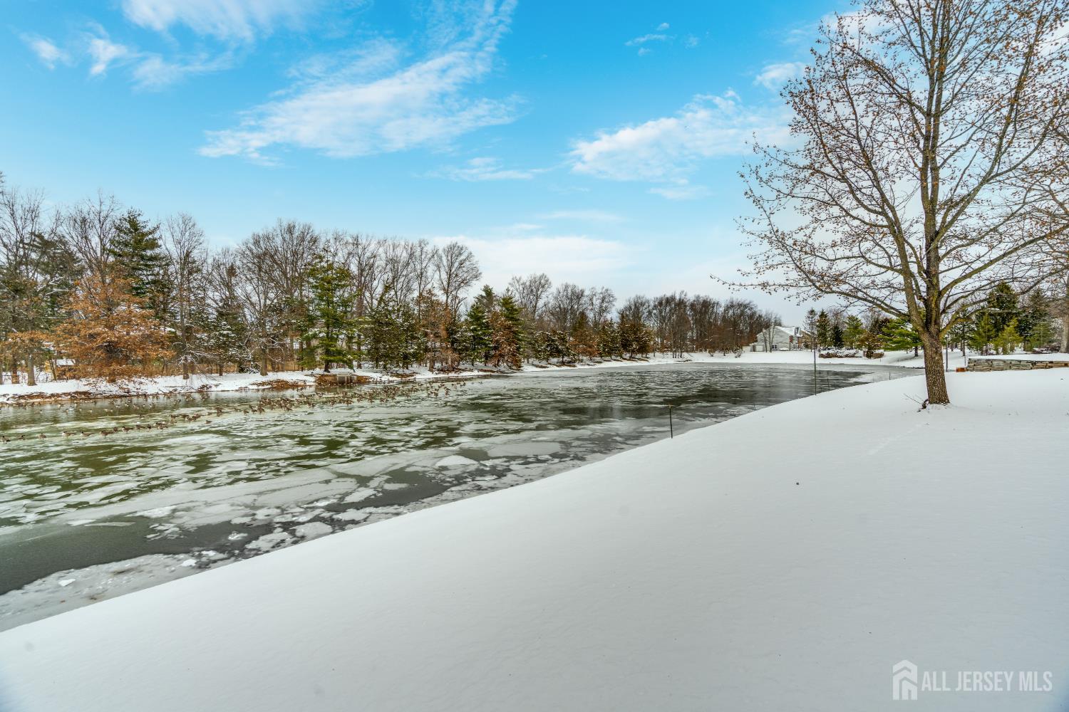 304 Wimbeldon Court North Brunswick, NJ 08902 - Photo 15 of 19 a view of outdoor space with green space