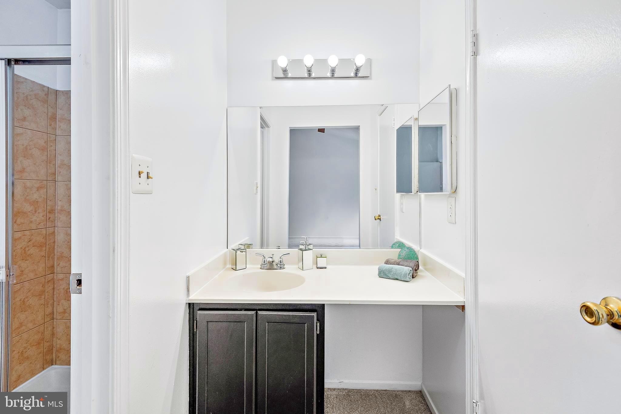 8 Narrowleaf Court Gaithersburg, MD 20878 - Photo 29 of 66 Master Bedroom Vanity